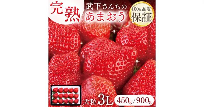 【ふるさと納税】【2025年1月～4月納品分予約販売】★福岡の産直いちご農家★武下さんちの「完熟あまおう」 3Lサイズ【450g・900g】 | いちご 完熟 あまおう 苺 ストロベリー 大粒 選べる容量 450g 900g 産地直送 産直 フルーツ 果物 くだもの 福岡県 大川市