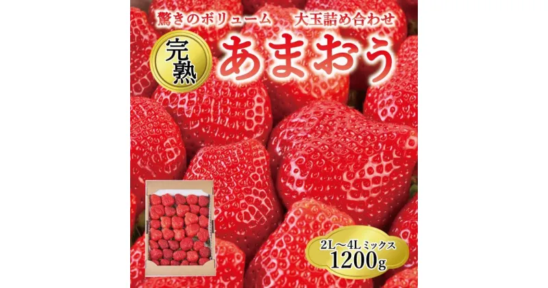 【ふるさと納税】【2025年1月～4月納品分予約販売】★開けてびっくり★驚きのボリューム完熟あまおう大玉詰め合わせ1200g | 福岡県 大川市 福岡県大川市 ふるさと 納税 食べ物 取り寄せ お取り寄せ グルメ ご当地 いちご イチゴ 苺