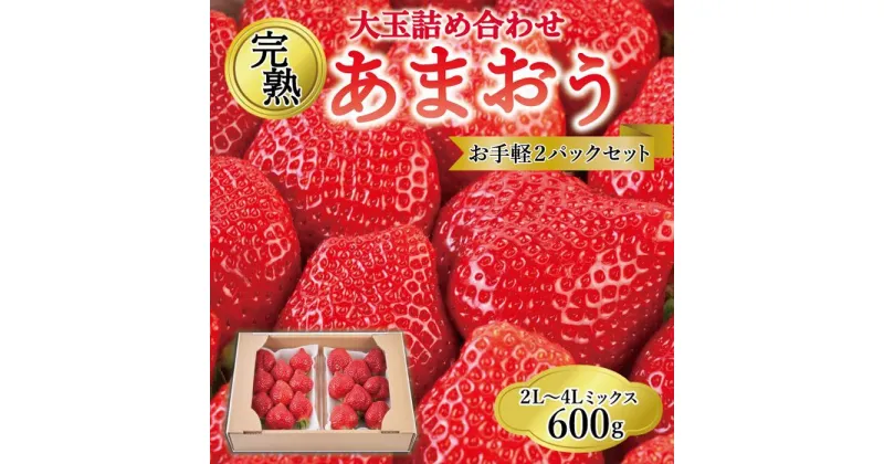 【ふるさと納税】【2025年1月～4月納品分予約販売】ご家族での味見にもOK！お手軽2パックセット！大玉詰め合わせ 600g | 福岡県 大川市 福岡県大川市 ふるさと 納税 食べ物 取り寄せ お取り寄せ グルメ ご当地 あまおう いちご イチゴ 苺