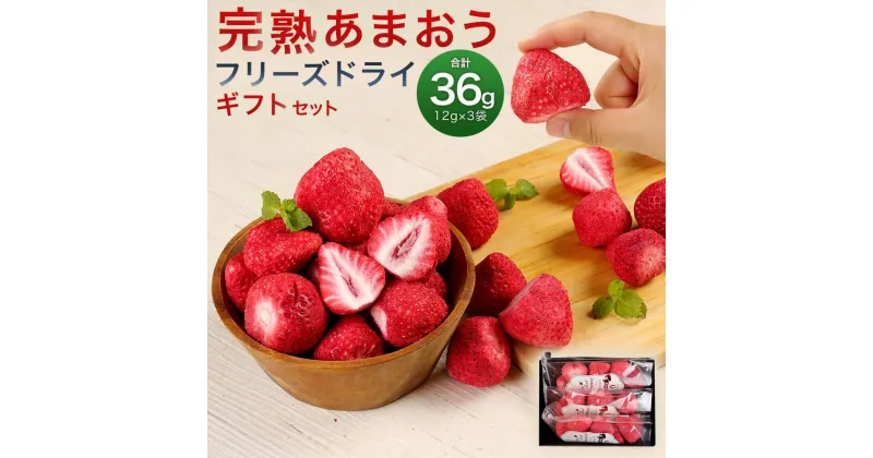 【ふるさと納税】フリーズドライ いちご 完熟 あまおう 丸ごと 苺 小分け ギフト 36g ( 12g × 3袋 ) | 果肉 くだもの フルーツ フルーツ ストロベリー お菓子 菓子 スムージー 朝食 ヨーグルト おやつ イチゴ 製菓材料 グルメ お取り寄せ 福岡県 大川市