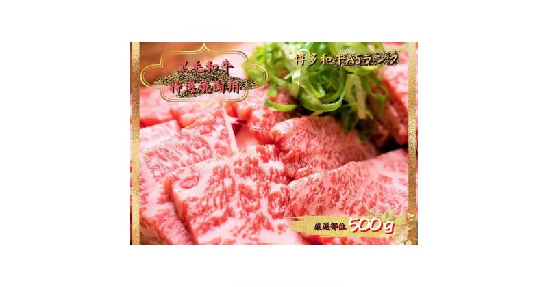 【ふるさと納税】博多和牛焼肉用 500g | 肉 牛肉 お肉 肉 お取り寄せ 冷凍 九州 福岡県 大川市 グルメ ご当地