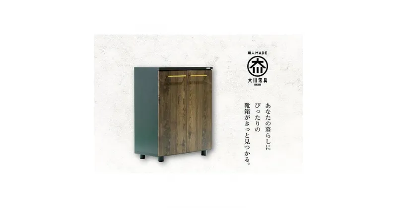 【ふるさと納税】大川家具　シューズボックス　ゾロ ロータイプ 800L（BR) 幅80cm 高さ93.8cm ブラック基調 モダン 　国内製造 | 家具 完成品 木製 高品質 靴置き 靴棚 靴収納棚 収納ラック シューズラック シューズケース 玄関用品 エントランス クローゼット