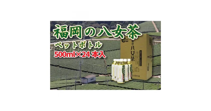 【ふるさと納税】【八女産茶葉100％使用】福岡の八女茶（煎茶）500mlペットボトル24本入り