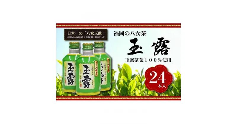 【ふるさと納税】【玉露日本一】八女産玉露茶葉100％使用　福岡の八女茶　玉露ボトル缶　290g×24本入り1ケース