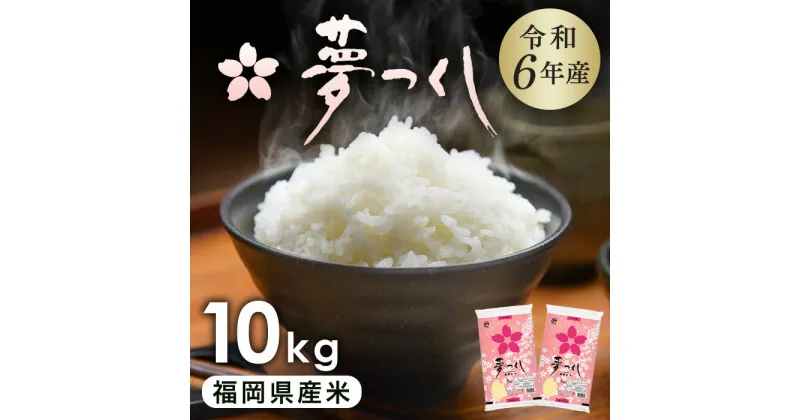 【ふるさと納税】令和6年産 新米 福岡県産 米 夢つくし 10kg ( 5kg × 2袋 ) 令和6年 米 お米 こめ 白米 精米 ライス ブランド米 お取り寄せ 美味しい おいしい ご飯 ごはん 料理 調理 人気 おすすめ 小分け ふるさと納税 ふるさと 納税 福岡県 大川市