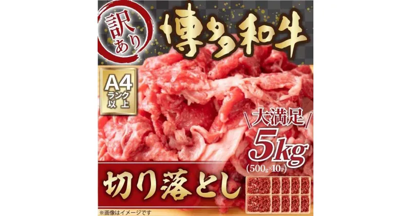 【ふるさと納税】訳あり 博多和牛 切り落とし 5kg ( 500g×10パック ) | 牛肉 和牛 お肉 肉 小分け 切り落とし 切落し 不揃い 5,000g 5キロ 肉じゃが 牛丼 野菜炒め ブランド牛 お取り寄せ 高級 グルメ ふるさと納税 50,000円 5万円 福岡県 大川市