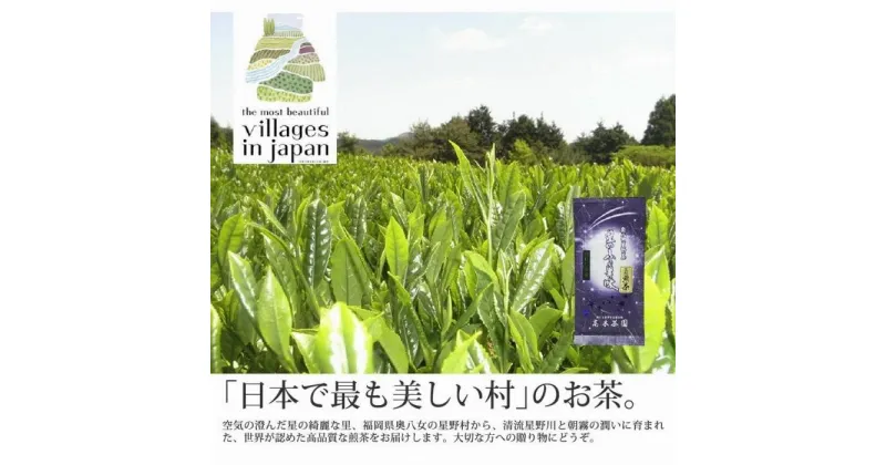 【ふるさと納税】奥八女星野村 深蒸し高級煎茶(深蒸し茶) 100g×1袋＜八女茶＞