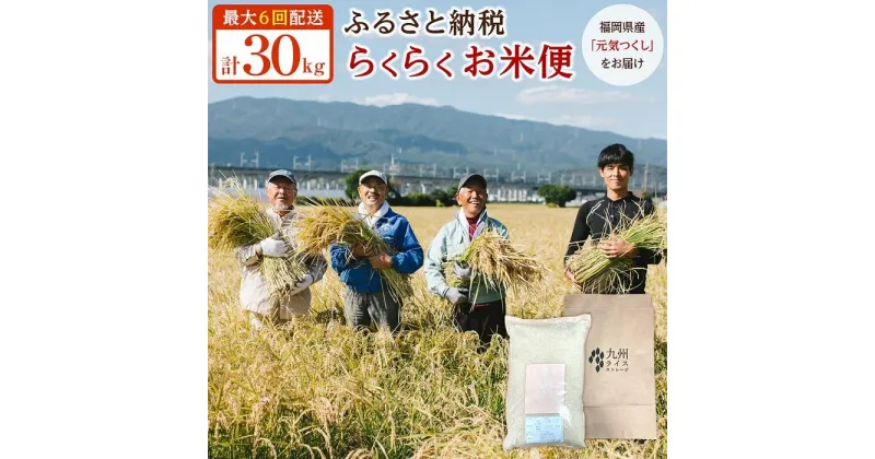 【ふるさと納税】お米 定期便 福岡県産 元気つくし 合計30kg ( 5kg×6回 ) | 米 こめ 白米 精米 ライス お取り寄せ 美味しい ご飯 ごはん 料理 調理 人気 おすすめ 小分け ふるさと納税 福岡県 大川市