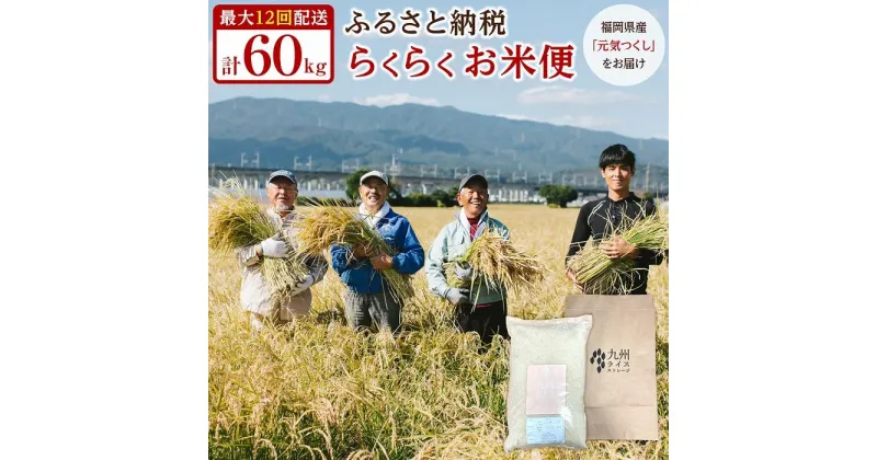 【ふるさと納税】お米 定期便 福岡県産 元気つくし 合計60kg ( 5kg×12回 ) | 米 こめ 白米 精米 ライス お取り寄せ 美味しい ご飯 ごはん 料理 調理 人気 おすすめ 小分け ふるさと納税 福岡県 大川市