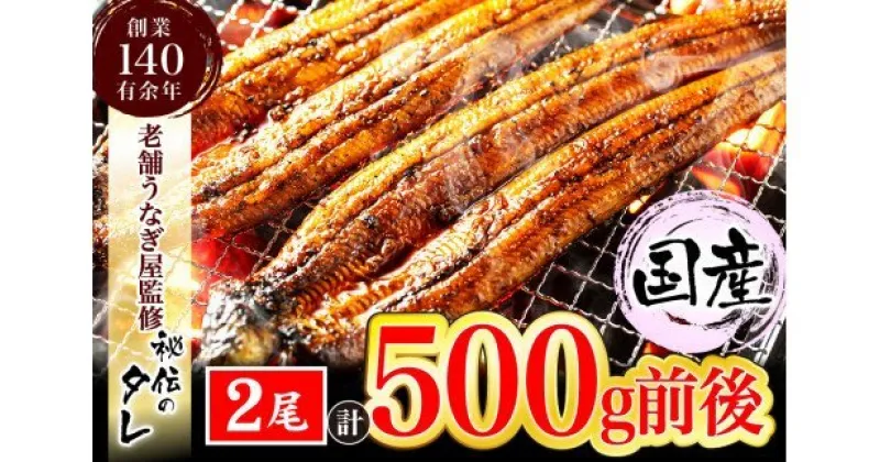 【ふるさと納税】九州産・鰻の蒲焼2尾（計500g前後）【当店オリジナル味付け】_AU-065