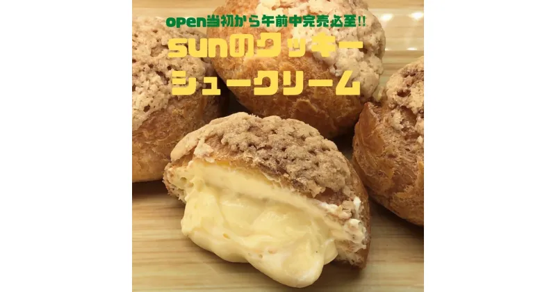 【ふるさと納税】ケーキ屋SUNのクッキーシュークリーム6個_AI-161