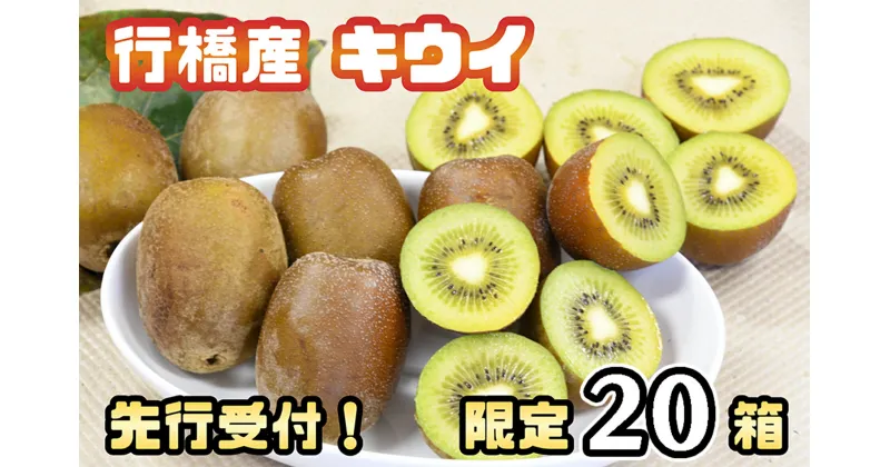 【ふるさと納税】【先行受付！限定20箱】行橋産キウイ2kg_CP-009