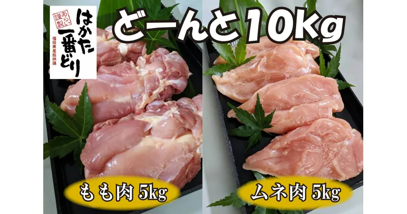 【ふるさと納税】どーんと10kg！福岡名物【はかた一番どり】もも肉とムネ肉_CX-003