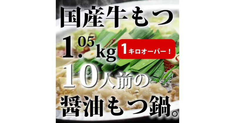 【ふるさと納税】国産牛もつ1kgオーバー！和風醤油もつ鍋 10人前(牛もつ1.05kg 和風醤油スープ付)_CW-026