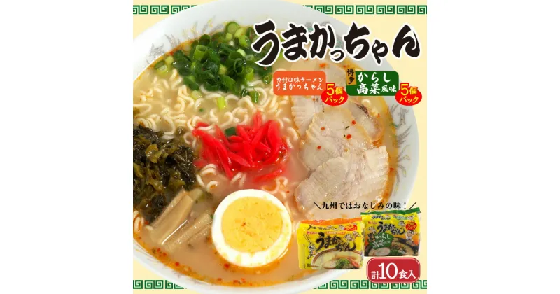 【ふるさと納税】うまかっちゃん5食・博多からし高菜風味5食（計10食セット）_CE-048 とんこつ 豚骨 トンコツ ラーメン 袋麺