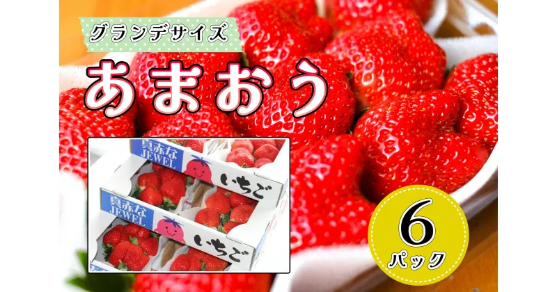 【ふるさと納税】【先行受付】いちごの王様！【あまおうグランデサイズ】3玉～15玉（6パック）1月から発送_CZ-007