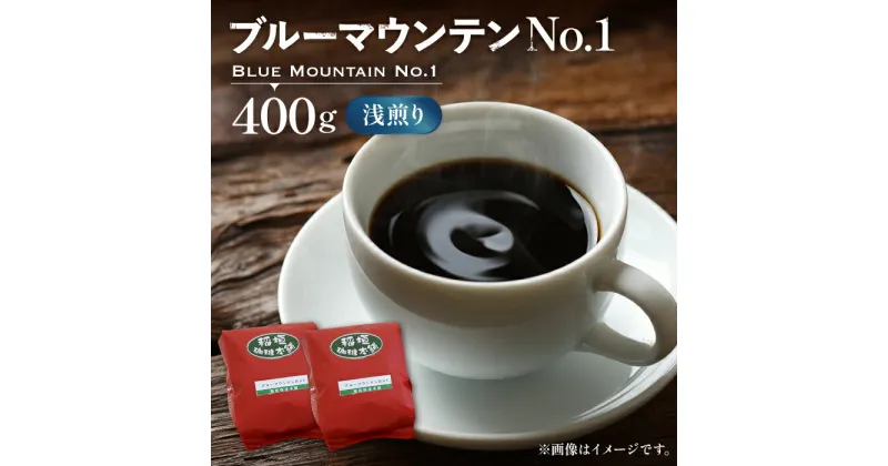 【ふるさと納税】ブルーマウンテン NO.1 コーヒー （ 浅煎り ） 《豊前市》【稲垣珈琲】 珈琲 コーヒー 豆 粉 [VAS001] 38000 38000円