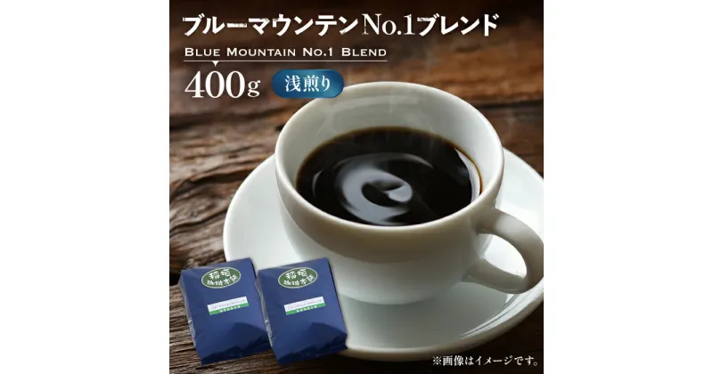 【ふるさと納税】ブルーマウンテン NO.1 ブレンド コーヒー （ 浅煎り ）《豊前市》【稲垣珈琲】 珈琲 コーヒー 豆 粉 [VAS033] 18000 18000円