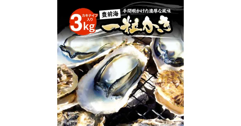 【ふるさと納税】【先行予約】豊前海一粒かき 3kg 【2025年1月以降順次発送】《豊前市》【豊築漁業協同組合】 牡蠣 カキ かき 牡蛎[VAG007] 16000 16000円