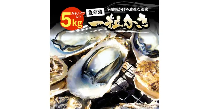 【ふるさと納税】【先行予約】豊前海一粒かき 5kg 【2025年1月以降順次発送】 《豊前市》【豊築漁業協同組合】 牡蠣 カキ かき 牡蛎[VAG010] 23000 23000円