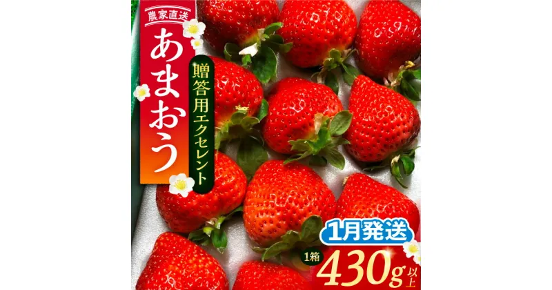 【ふるさと納税】【先行予約】【1月発送】 あまおう 贈答用 エクセレント 430g以上×1箱 《豊前市》【内藤農園】果物 いちご[VAB009] 10000 10000円