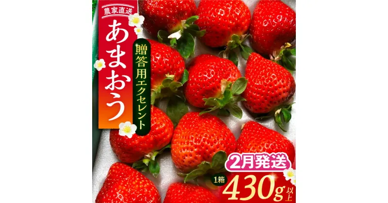 【ふるさと納税】【先行予約】【2月-3月発送】 あまおう 贈答用 エクセレント 430g以上×1箱 《豊前市》【内藤農園】果物 いちご[VAB010] 1万円 10000円