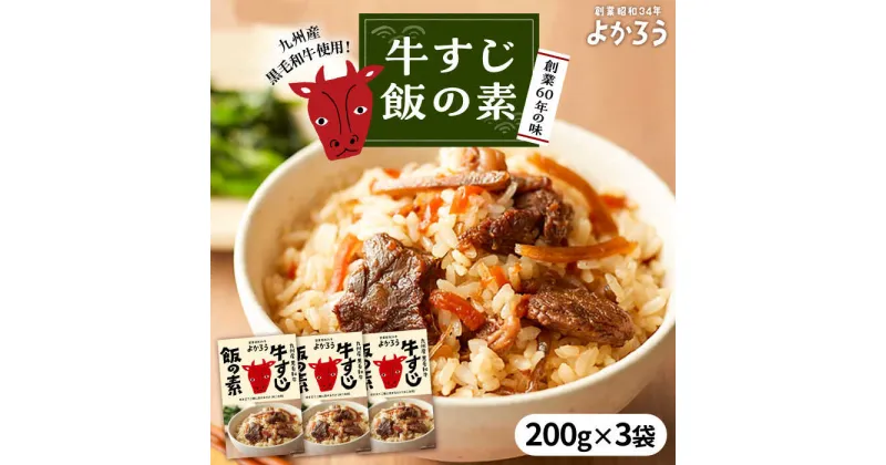 【ふるさと納税】牛すじ飯の素 セット 200g×3袋 《豊前市》【有限会社よかろう】ご飯の素 牛すじ飯[VBA009] 12000 12000円