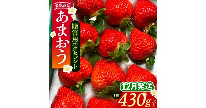 【ふるさと納税】【先行予約】【12月発送】 あまおう 贈答用 エクセレント 430g以上×1箱 《豊前市》【内藤農園】果物 いちご[VAB013] 11000 11000円