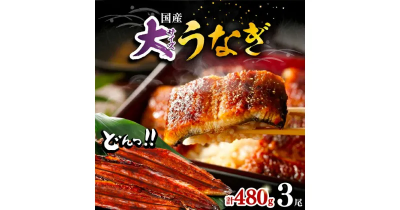 【ふるさと納税】福岡県産 うなぎ 蒲焼 大3尾 合計 480 g（1尾あたり 160g以上）《豊前市》【福岡養鰻】 国産 うなぎ 大 [VAD003] 20000 20000円