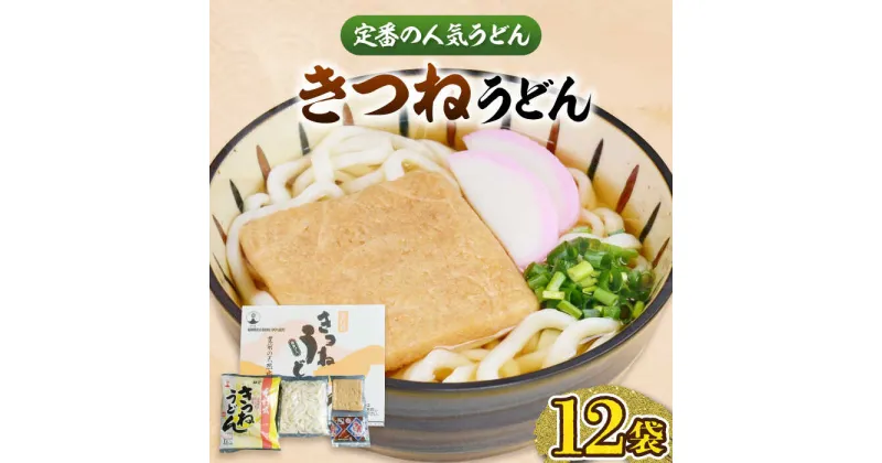 【ふるさと納税】きつね うどん 12食 《豊前市》【富士菊】きつねうどん うどん [VAI011] 11000 11000円