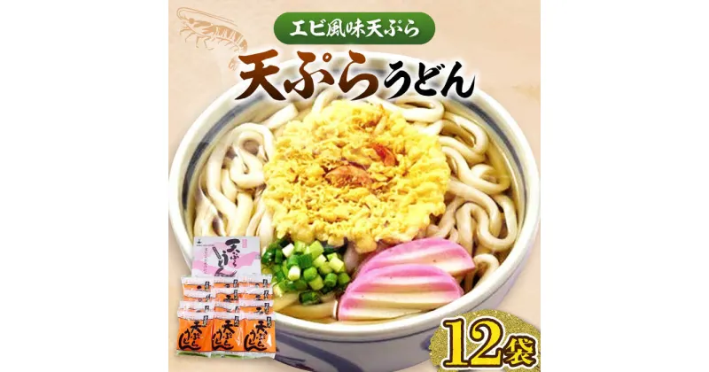 【ふるさと納税】天ぷら うどん 12食 《豊前市》【富士菊】うどん 天ぷらうどん 天ぷら 麺 麺類 福岡 豊前 [VAI010] 11000 11000円