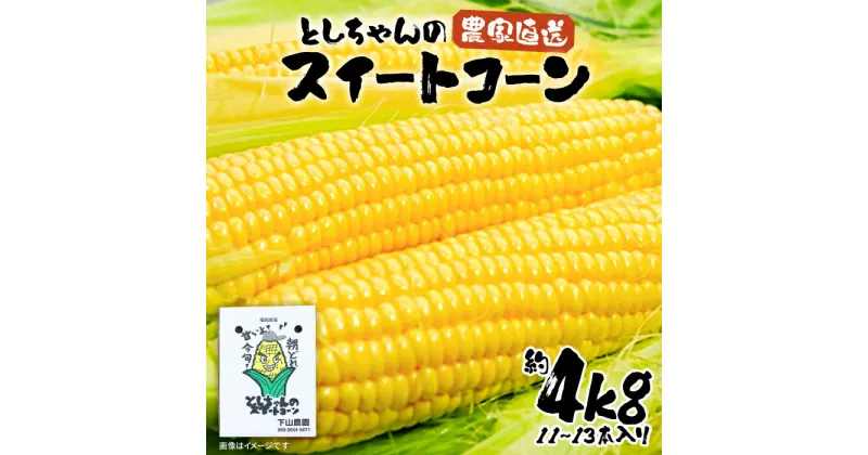 【ふるさと納税】【2025年6月以降出荷分予約】下山農園 としちゃんの 農家直送 スイートコーン 約4kg（11〜13本入り）《豊前市》【下山農園】とうもろこし 野菜 BBQ [VBH001] 12000 12000円