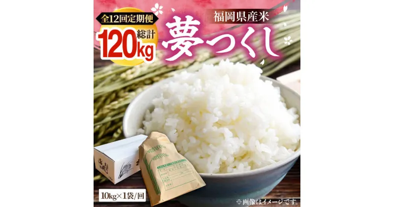 【ふるさと納税】【全12回定期便】福岡県産米 夢つくし 10kg × 1袋 《豊前市》【湯越農園】米 精米 白米[VBC007] 210000 210000円