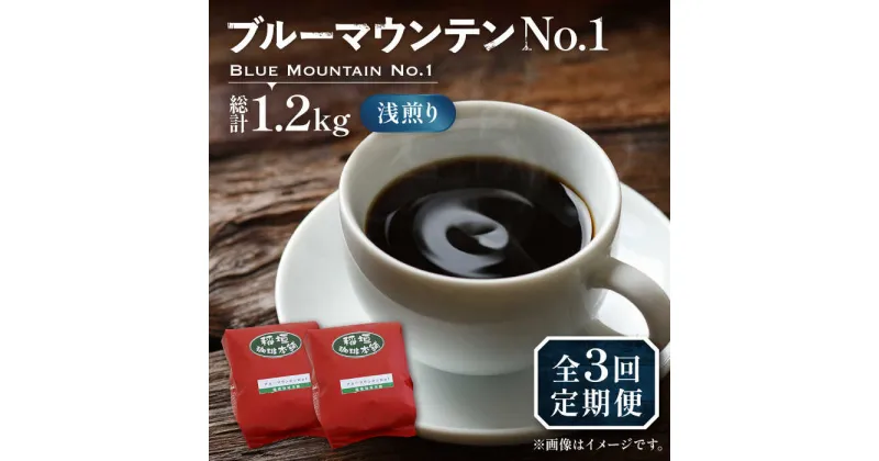 【ふるさと納税】【全3回定期便】ブルーマウンテン NO.1 コーヒー ( 浅煎り ) 《豊前市》【稲垣珈琲】 珈琲 コーヒー 豆 粉[VAS149] 114000 114000円