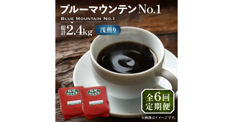 【ふるさと納税】【全6回定期便】ブルーマウンテン NO.1 コーヒー ( 浅煎り ) 《豊前市》【稲垣珈琲】 珈琲 コーヒー 豆 粉[VAS150] 227000 227000円