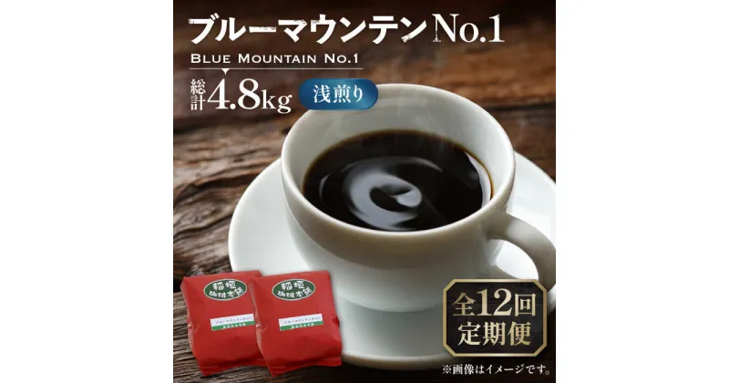 【ふるさと納税】【全12回定期便】ブルーマウンテン NO.1 コーヒー ( 浅煎り ) 《豊前市》【稲垣珈琲】 珈琲 コーヒー 豆 粉[VAS151] 454000 454000円