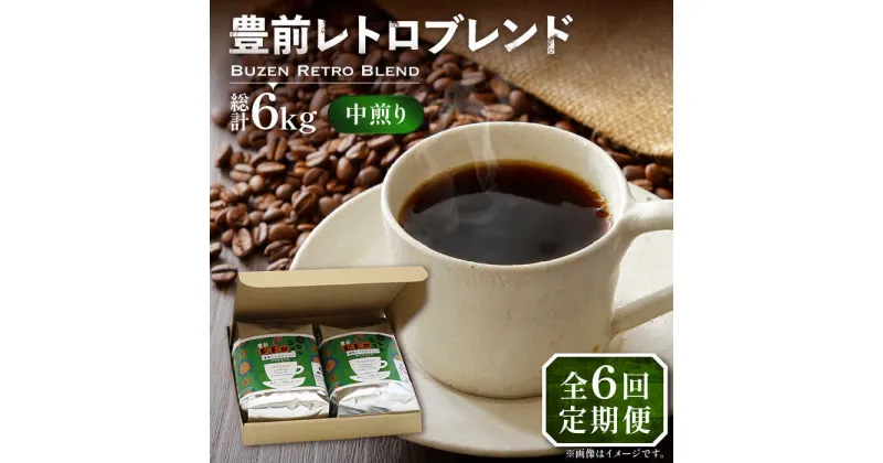 【ふるさと納税】【全6回定期便】豊前 レトロ ブレンド コーヒー 500g×2 ( 中煎り ) 《豊前市》【稲垣珈琲】珈琲 コーヒー 豆 粉[VAS162] 89000 89000円