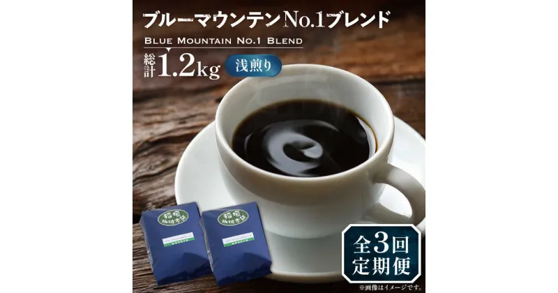 【ふるさと納税】【全3回定期便】ブルーマウンテン NO.1 ブレンド コーヒー ( 浅煎り )《豊前市》【稲垣珈琲】 珈琲 コーヒー 豆 粉[VAS167] 54000 54000円