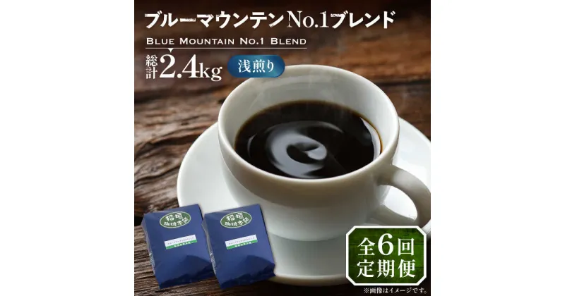 【ふるさと納税】【全6回定期便】ブルーマウンテン NO.1 ブレンド コーヒー ( 浅煎り )《豊前市》【稲垣珈琲】 珈琲 コーヒー 豆 粉[VAS168] 107000 107000円