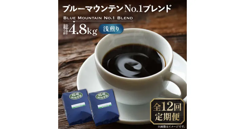 【ふるさと納税】【全12回定期便】ブルーマウンテン NO.1 ブレンド コーヒー ( 浅煎り )《豊前市》【稲垣珈琲】 珈琲 コーヒー 豆 粉[VAS169] 214000 214000円