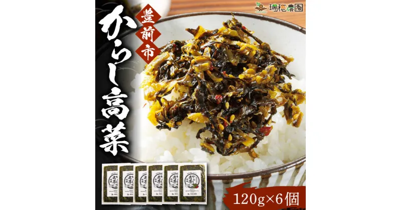 【ふるさと納税】からし高菜120g×6個セット《豊前市》【株式会社瑞穂】[VBG004] 10000 10000円