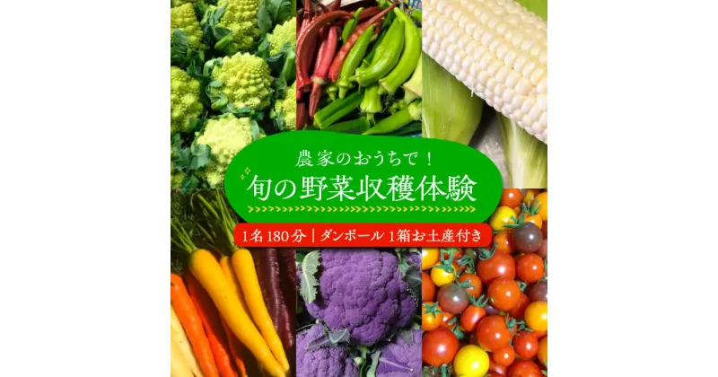 【ふるさと納税】農家のおうちで旬の野菜！！収穫体験　1名180分 ダンボール1箱お土産付き《豊前市》【田村農産】[VBE005] 19000 19000円