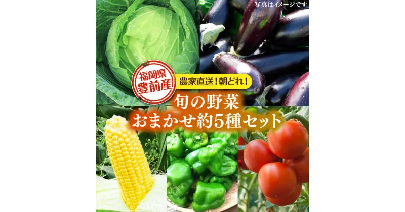 【ふるさと納税】農家直送 旬のお野菜 おまかせ 約5種 セット 約2〜3kg 《豊前市》【湯越農園】 野菜 詰め合わせ セット やさい[VBC011] 9000 9000円