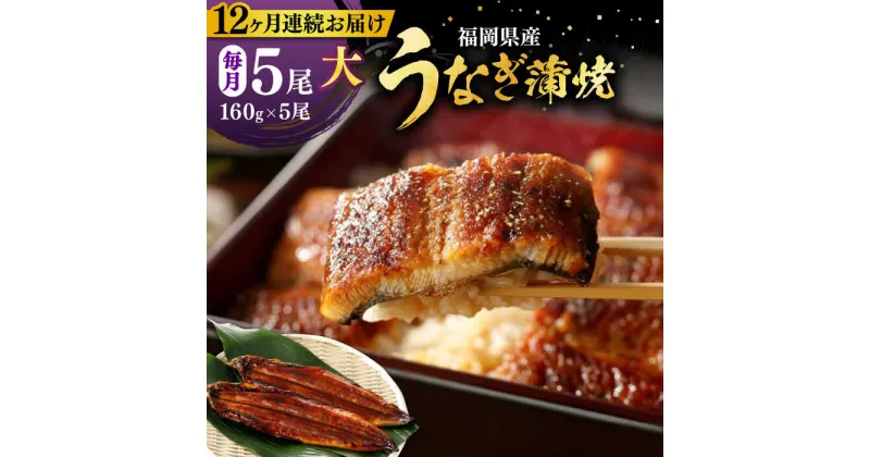 【ふるさと納税】【全12回定期便】福岡県産 うなぎ 蒲焼 大5尾　合計 800 g（1尾あたり 160g以上）《豊前市》【福岡養鰻】 国産 うなぎ 大[VAD019] 366000 366000円