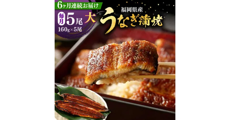 【ふるさと納税】【全6回定期便】福岡県産 うなぎ 蒲焼 大5尾　合計 800 g（1尾あたり 160g以上）《豊前市》【福岡養鰻】 国産 うなぎ 大[VAD018] 183000 183000円