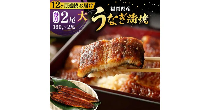 【ふるさと納税】【全12回定期便】福岡県産 うなぎ 蒲焼 大2尾　合計 320 g（1尾あたり 160g以上）《豊前市》【福岡養鰻】 国産 うなぎ 大[VAD013] 174000 174000円