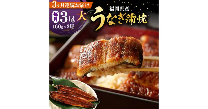 【ふるさと納税】【全3回定期便】福岡県産 うなぎ 蒲焼 大3尾 合計 480 g（1尾あたり 160g以上）《豊前市》【福岡養鰻】 国産 うなぎ 大[VAD014] 60000 60000円