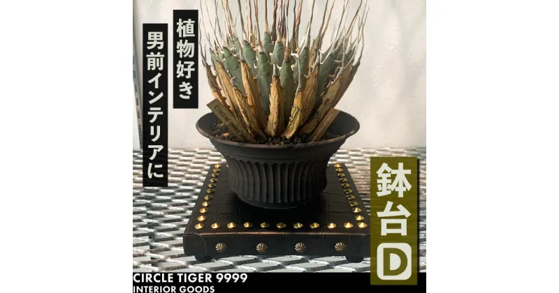 【ふるさと納税】1点モノ 鉢台 D《豊前市》【CIRCLE TIGER 9999】インテリア 植物 グリーン 室内 観葉植物[VCS004] 46000 46000円