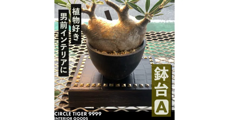 【ふるさと納税】1点モノ 鉢台 A 《豊前市》【CIRCLE TIGER 9999】インテリア 植物 グリーン 室内 観葉植物[VCS001] 63000 63000円