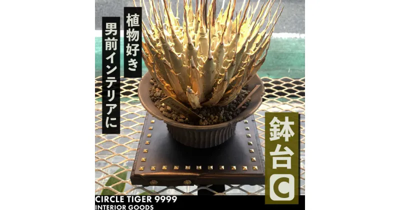 【ふるさと納税】1点モノ 鉢台 C《豊前市》【CIRCLE TIGER 9999】インテリア 植物 グリーン 室内 観葉植物[VCS003] 46000 46000円